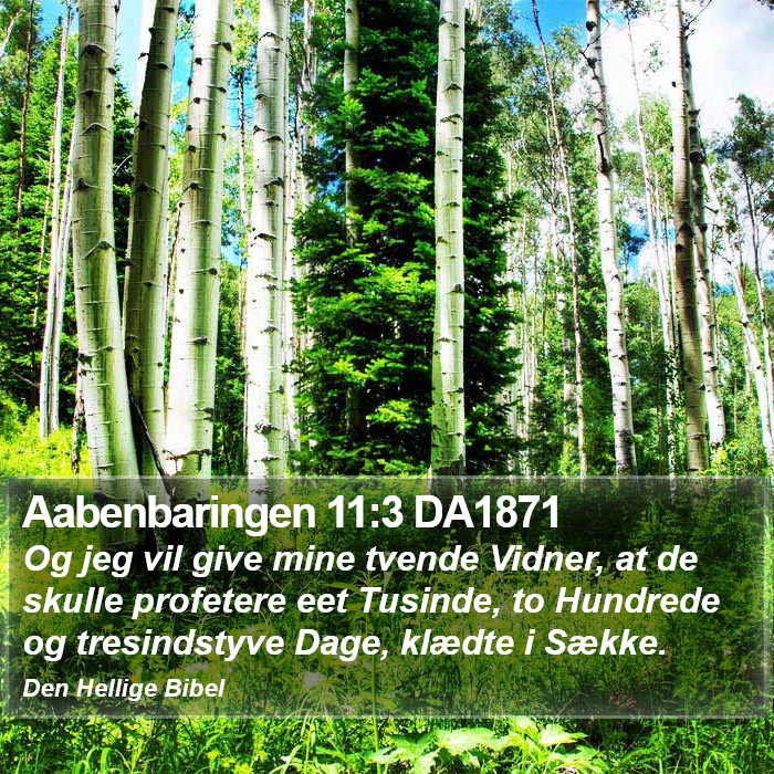 Aabenbaringen 11:3 DA1871 Bible Study