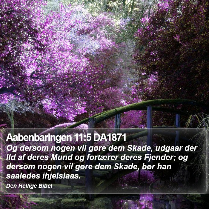 Aabenbaringen 11:5 DA1871 Bible Study