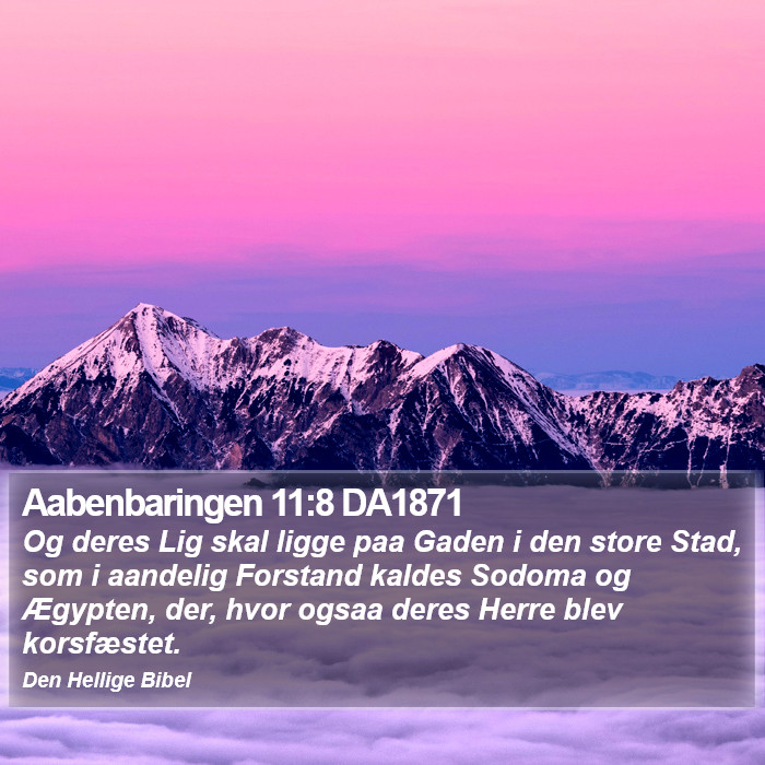 Aabenbaringen 11:8 DA1871 Bible Study