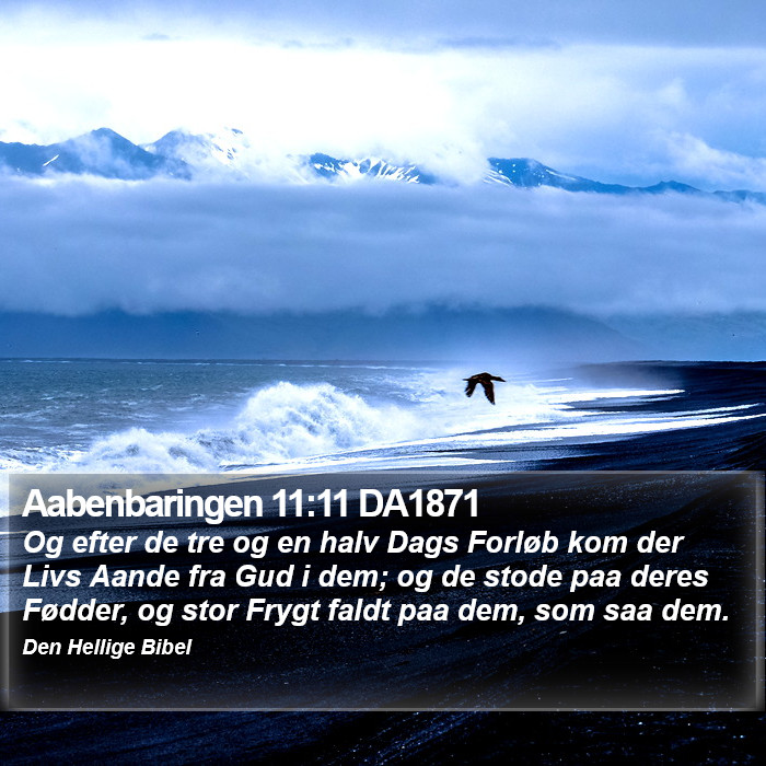 Aabenbaringen 11:11 DA1871 Bible Study