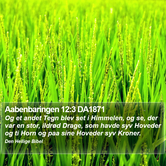 Aabenbaringen 12:3 DA1871 Bible Study