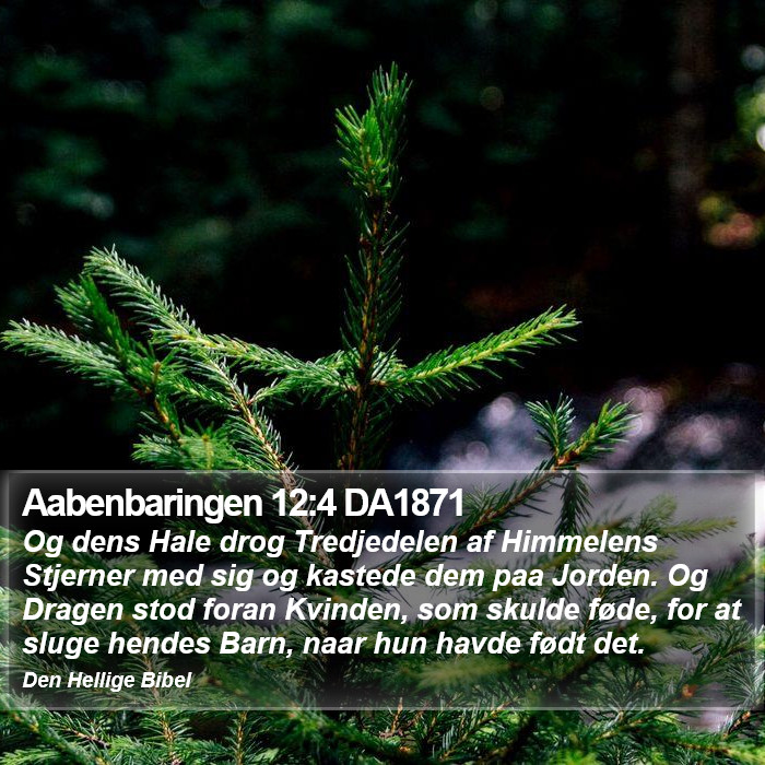 Aabenbaringen 12:4 DA1871 Bible Study