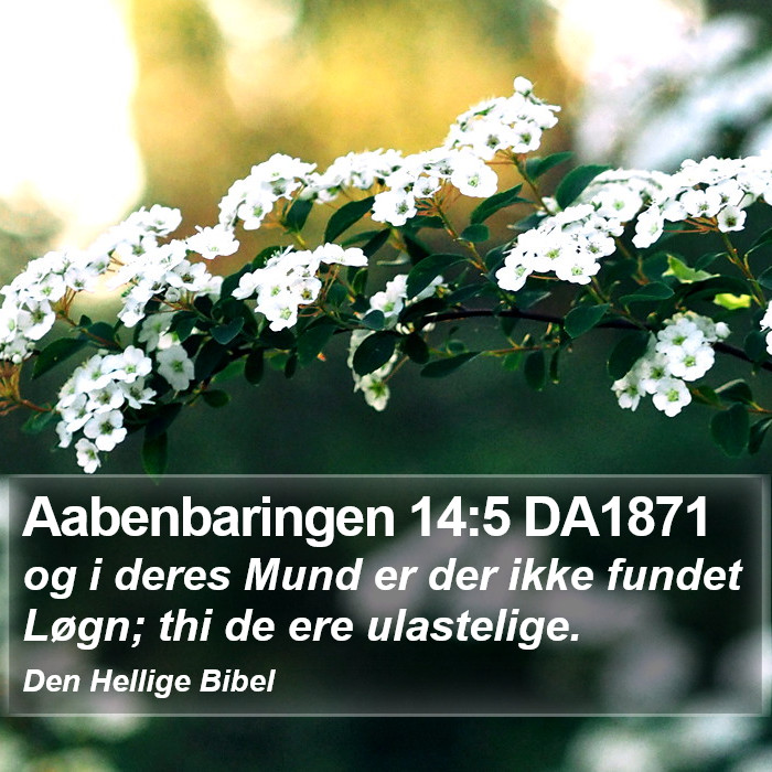 Aabenbaringen 14:5 DA1871 Bible Study