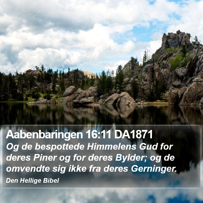 Aabenbaringen 16:11 DA1871 Bible Study