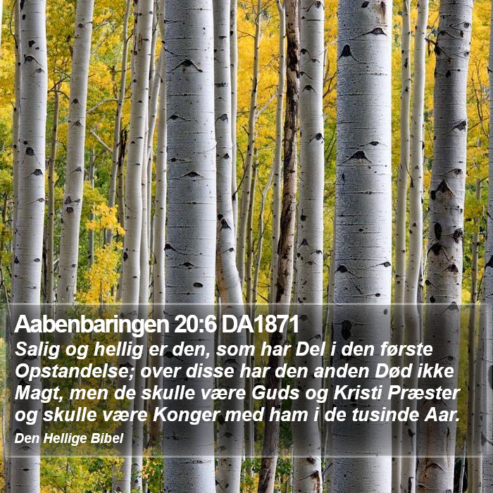 Aabenbaringen 20:6 DA1871 Bible Study