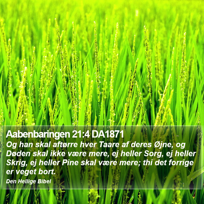 Aabenbaringen 21:4 DA1871 Bible Study