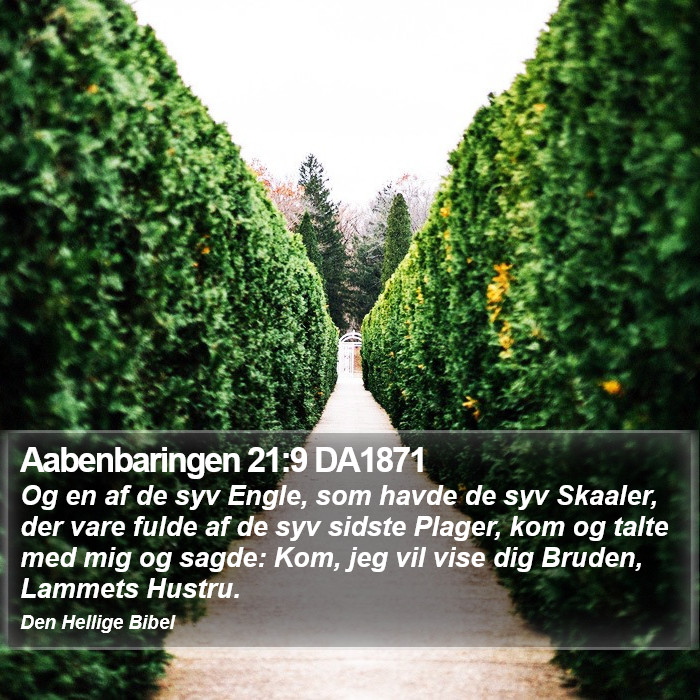 Aabenbaringen 21:9 DA1871 Bible Study