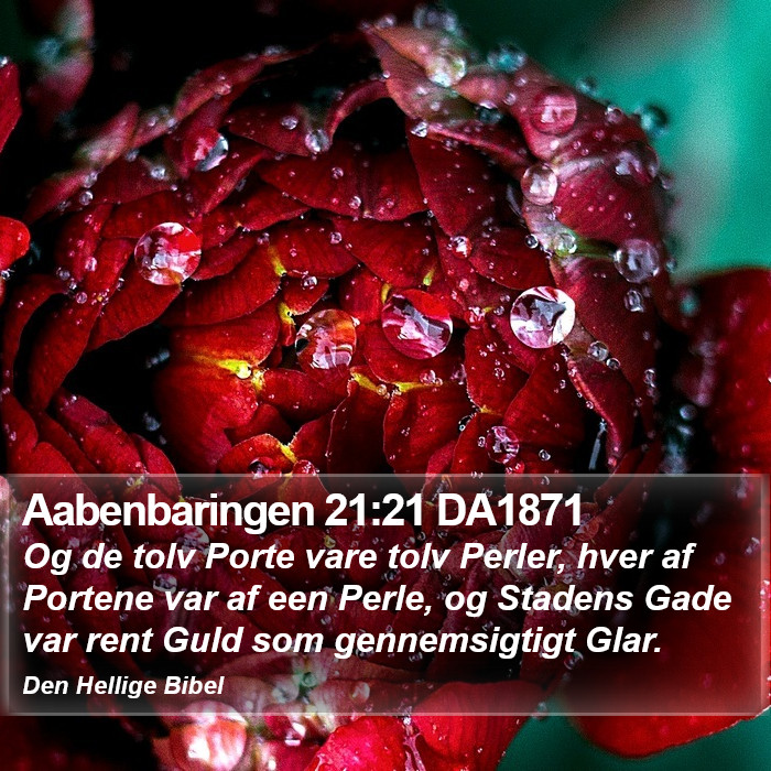 Aabenbaringen 21:21 DA1871 Bible Study