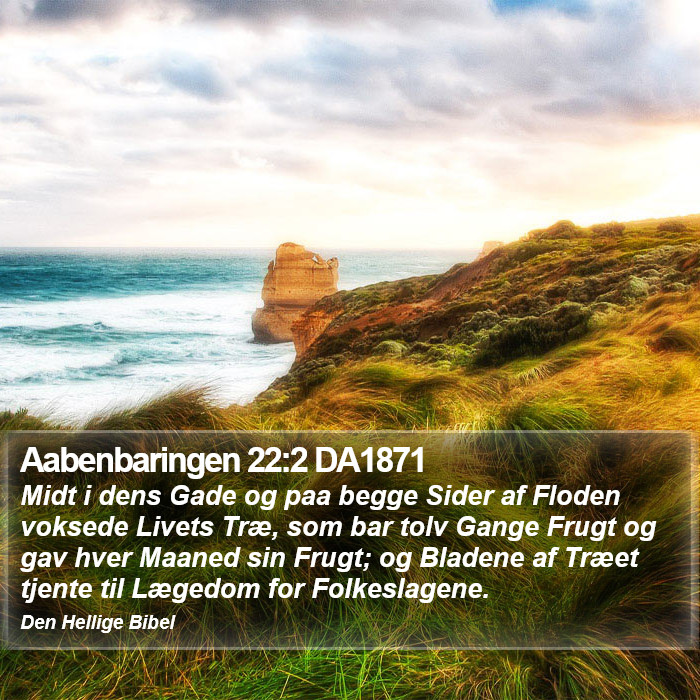 Aabenbaringen 22:2 DA1871 Bible Study