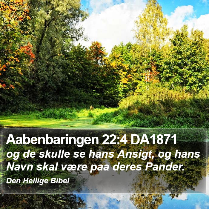 Aabenbaringen 22:4 DA1871 Bible Study